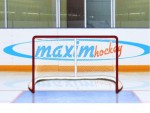 Имитатор - хоккейные ворота Т-770 - магазин СпортДоставка. Спортивные товары интернет магазин в Челябинске 